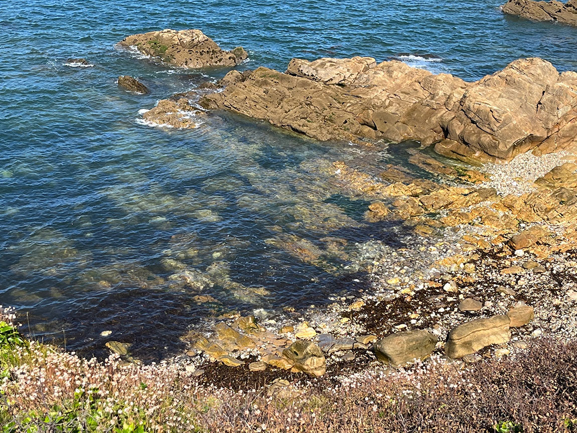Unterwegs auf dem Zöllnerpfad von Le Conquet zum Pointe Saint Mathieu